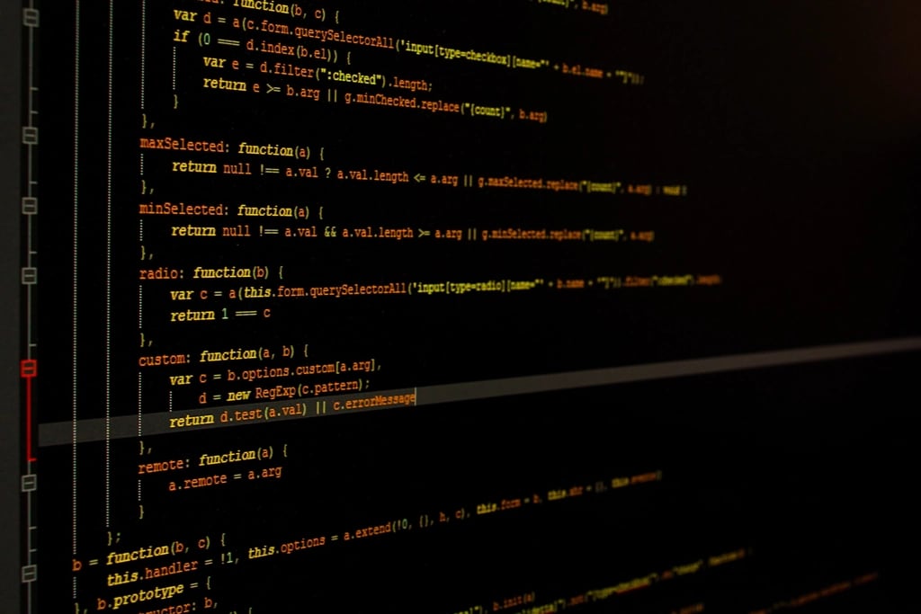 Custom Software Development Services: Scope, Cost, Risks and Delivery Plan - software engineering and custom application delivery reference visual