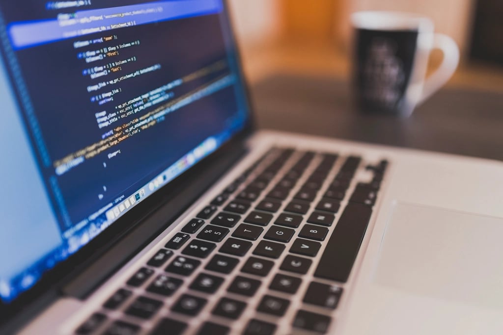 Custom software development and coding work for  services custom-software