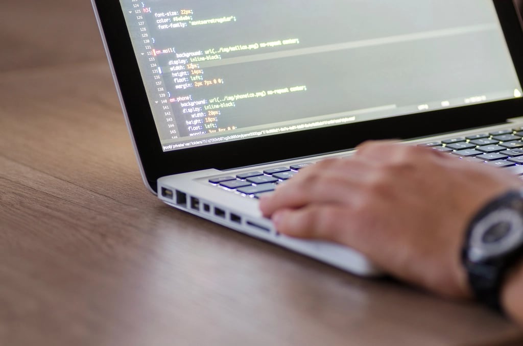 Custom software development and coding work for  services custom-software