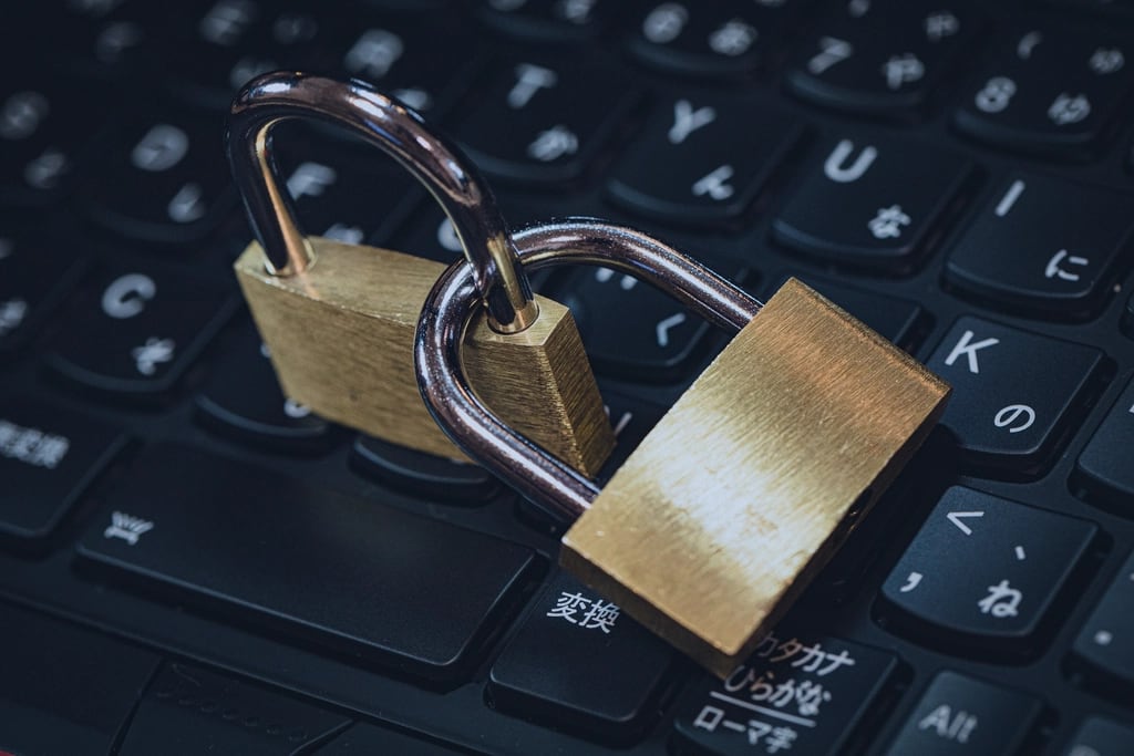 Cybersecurity, access and protected infrastructure for  services cybersecurity