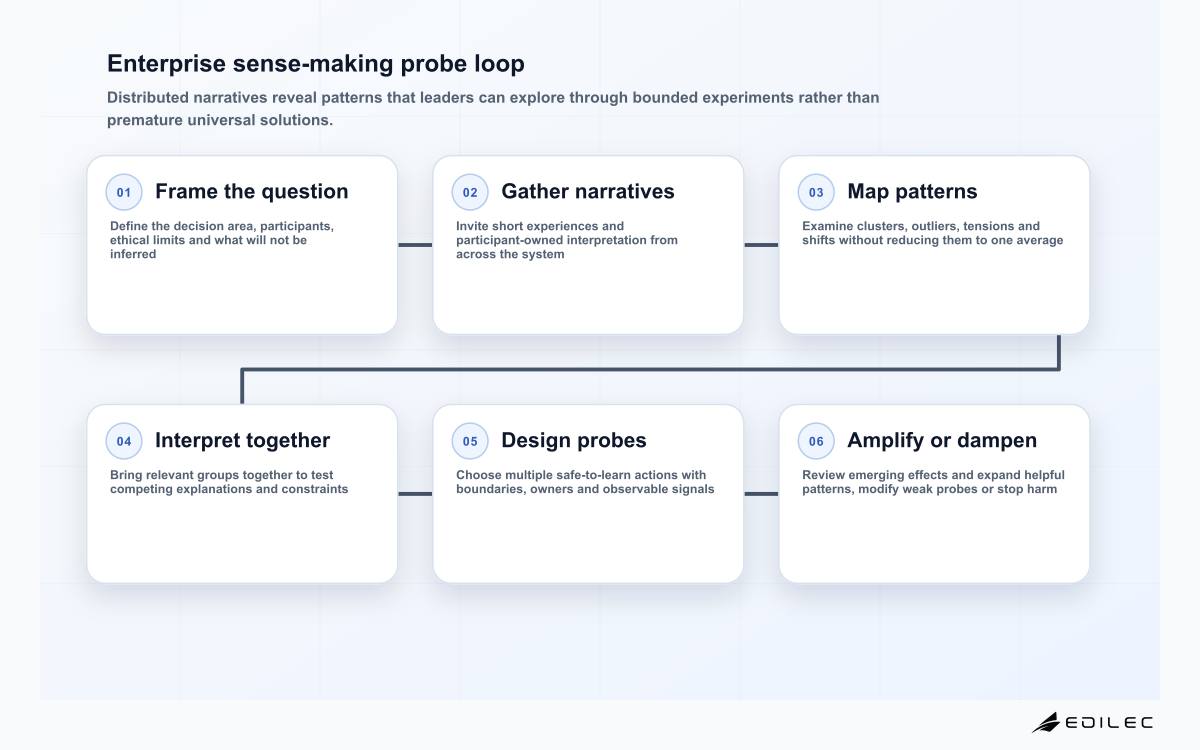 Enterprise sense-making probe loop