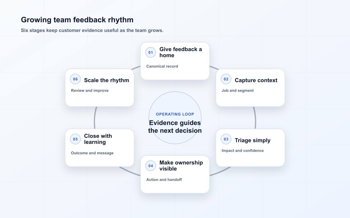 Growing team feedback rhythm